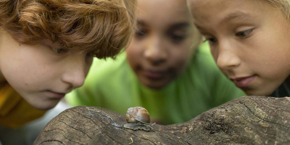 Capítulo 1 — La fuente de la verdadera educación y su propósito