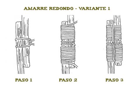 Variante 1