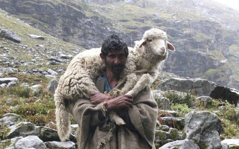 La oveja perdida