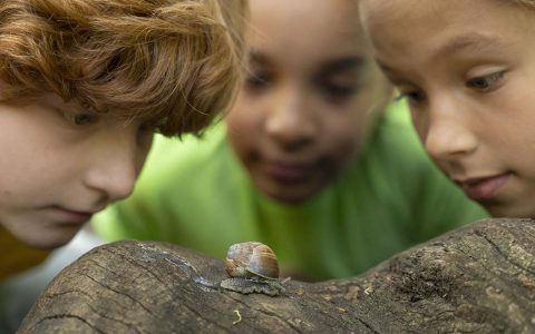 Capítulo 1 — La fuente de la verdadera educación y su propósito