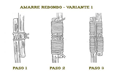 Variante 1