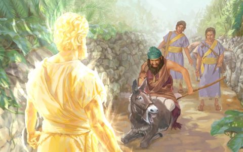 El asna de Balaam