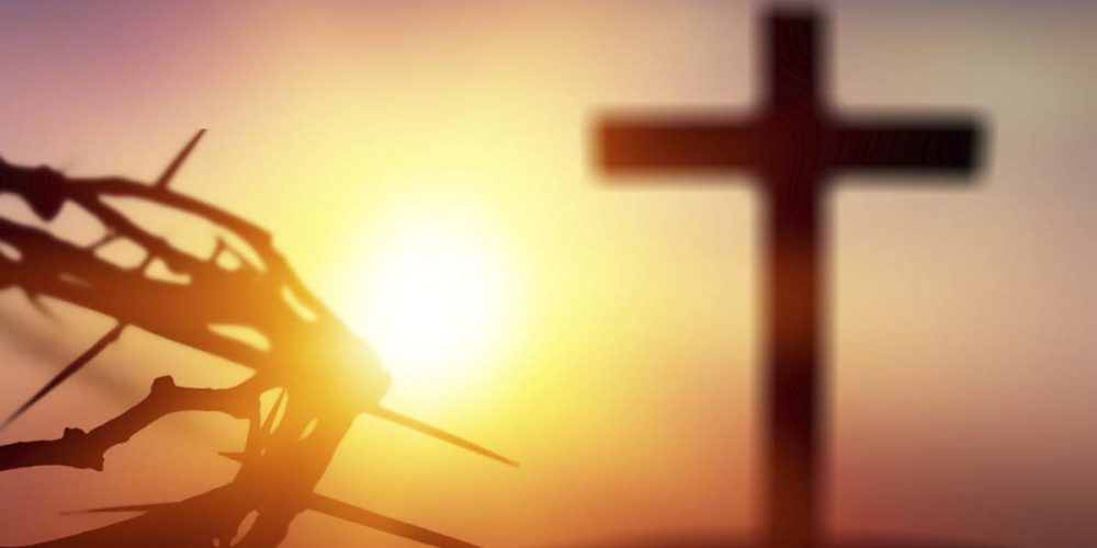 Capítulo 7 – Cómo lograr una magnifica renovación